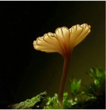 LOGO對企業(yè)的重要性！