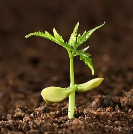 為什么說企業(yè)文化是企業(yè)的靈魂！