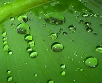 擴(kuò)展logo品牌的三大策略！