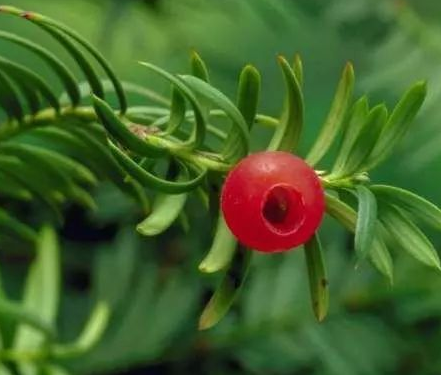 企業(yè)文化對企業(yè)來說的作用！