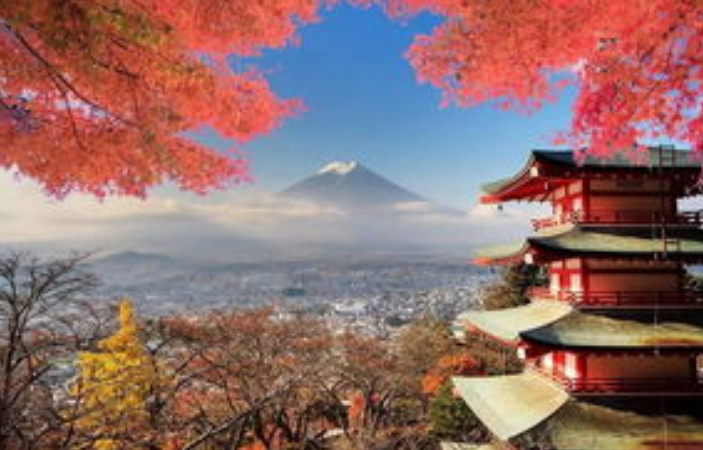 日本校園文化特色設計在哪？