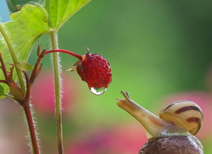 品牌設計好壞會影響品牌的效益！