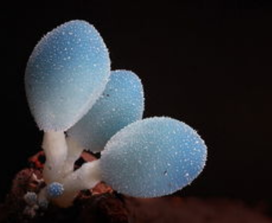 設計不僅僅只為引人注意！