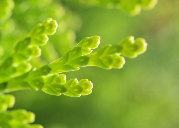 設計logo的價值！