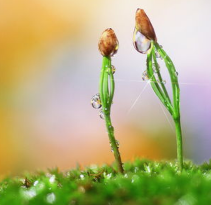 商標(biāo)的策略、創(chuàng)意、戰(zhàn)略！