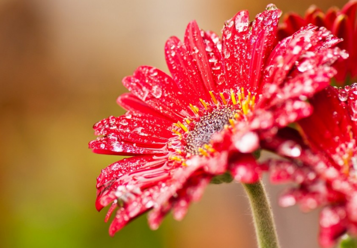 校園精神文化建設(shè)可以這么做！