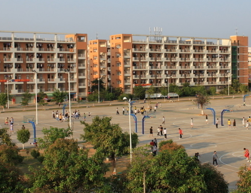 堅持校園文化的正確方向的重要性！