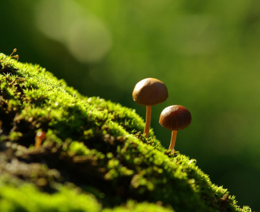 初學建筑師設計必須要了解的設計流程