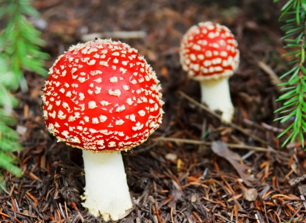 對于設計師來說是以什么為設計標準的！