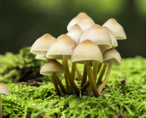 設計師一定要做到深入！