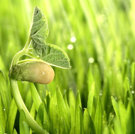 企業(yè)設(shè)計(jì)logo的好處、共同特點(diǎn)?。?！