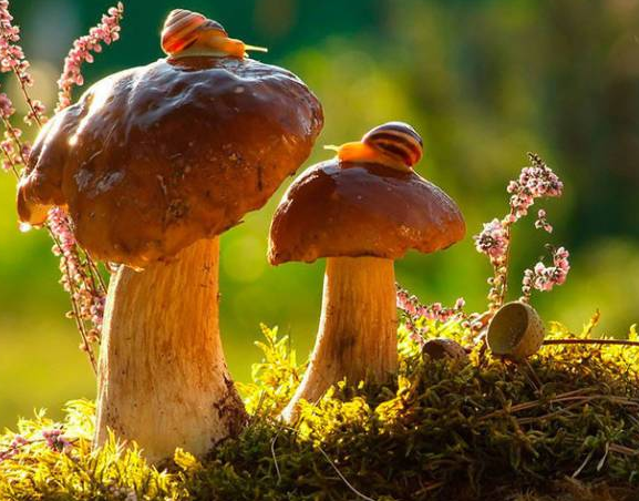 品牌對(duì)于企業(yè)來(lái)說(shuō)的含義和實(shí)質(zhì)！