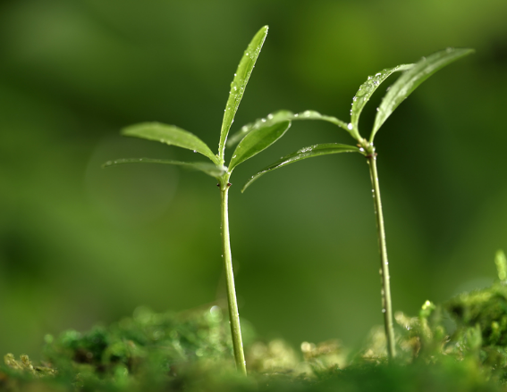 校園文化對幼兒的重要性大嗎？