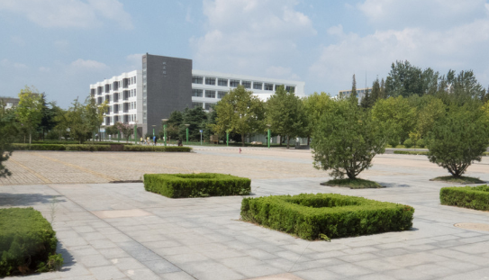 簡述不同教育階段的校園變化！