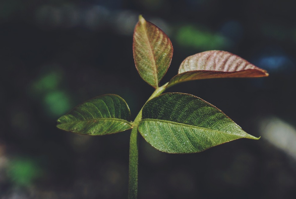 一個(gè)好的logo設(shè)計(jì)對市場具有較強(qiáng)的開拓能力！