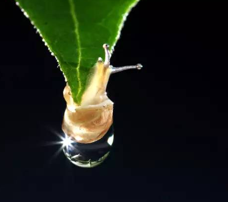 視覺設(shè)計詳解！