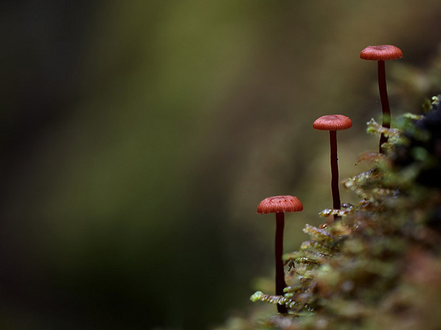 品牌設(shè)計(jì)好壞的效益！