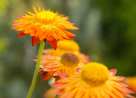 企業(yè)重視企業(yè)文化的原因！