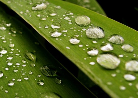 校園文化促進(jìn)社會(huì)發(fā)展！