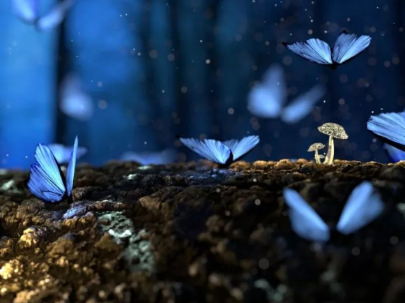 新時代大學(xué)校園文化建設(shè)的基礎(chǔ)方針！