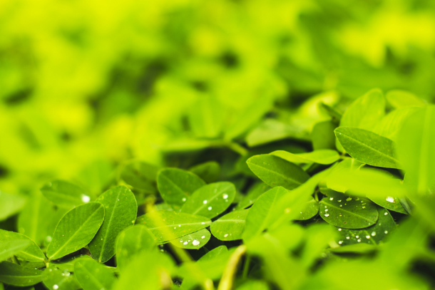 綠色生態(tài)校園設(shè)計的根本！