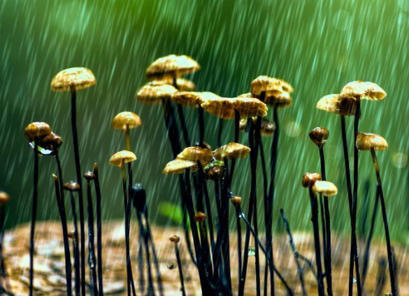 設(shè)計：如何接納客戶需求?。?！