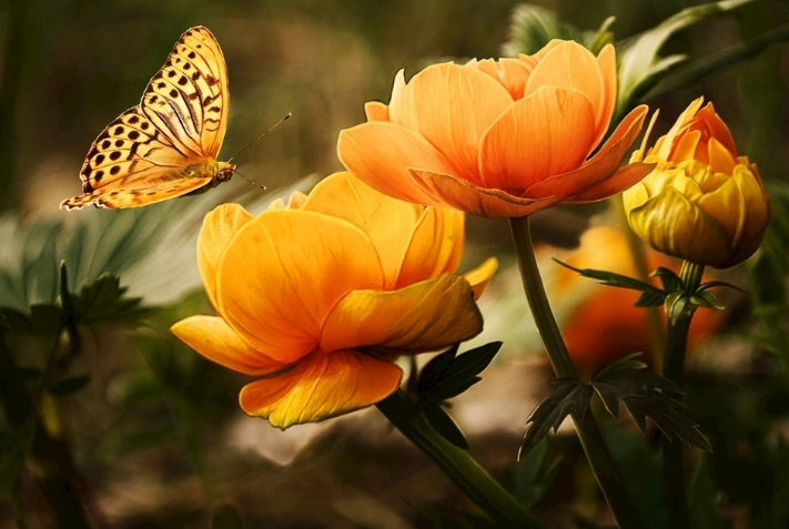 品牌的價值體現?。。?>
        </div>    
      </a>
    </li>
        <li  class=