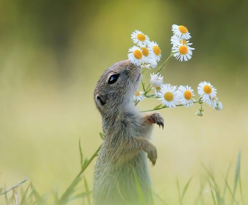 廣告分類簡述！