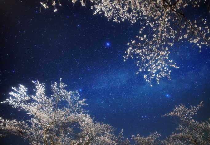 帶你了解商標的策略、創(chuàng)意、戰(zhàn)略！