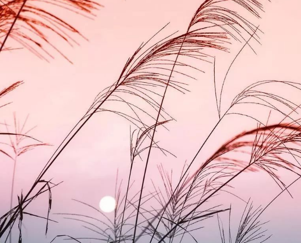 品牌的劃分、你真的了解嗎？