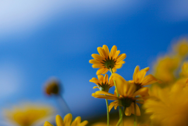 設(shè)計(jì)是這樣的？