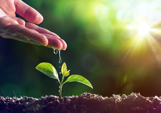 logo的價(jià)值體現(xiàn)！