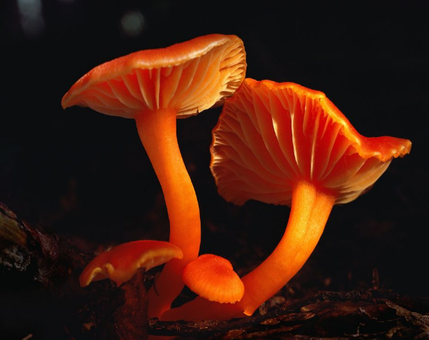 設計的靈感體現(xiàn)、色彩很重要！